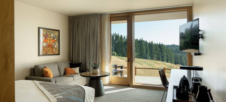 酒店地面(Inn the Ground)图片