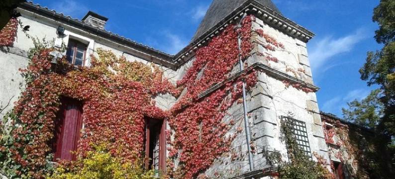 库里梅英查尔斯酒店(La Cure du Maine Charles)图片