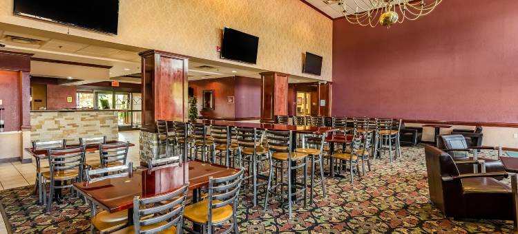 阿宾登岛凯艺套房酒店(Quality Inn & Suites)图片