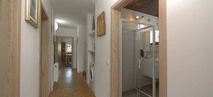 Rikli Rodine公寓，靠近布莱德(Apartments Rikli Rodine Near Bled)图片