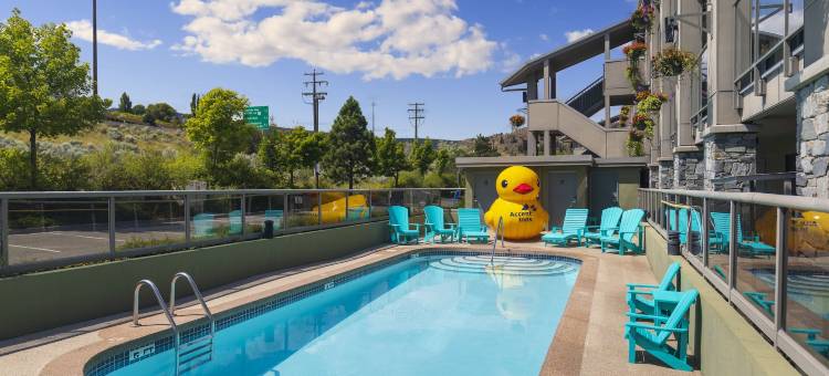 坎卢普斯艾塞特旅馆(Accent Inns Kamloops)图片
