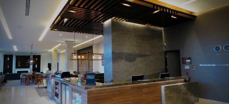 塞拉亚欢朋酒店(Hampton Inn by Hilton Celaya)图片