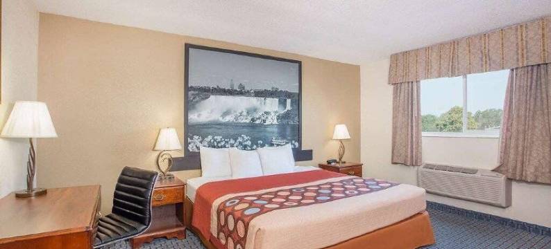 法布里奇威廉姆斯维尔布法罗机场快捷酒店(FairBridge Inn Express Buffalo Airport Williamsville)图片