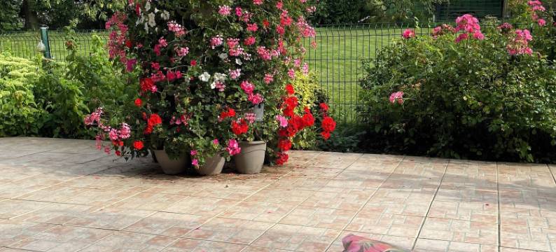 奥里尼昂蒂耶拉什民宿(Chambres D’hôtes d'Origny-en-Thierache)图片