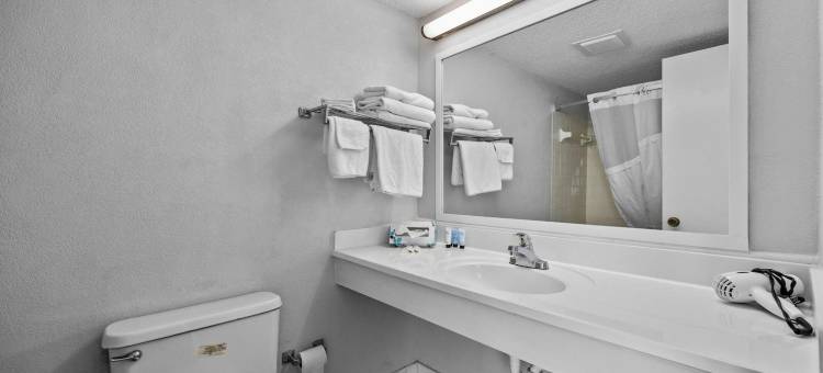 红树汽车旅馆(Oasis Hotel)图片