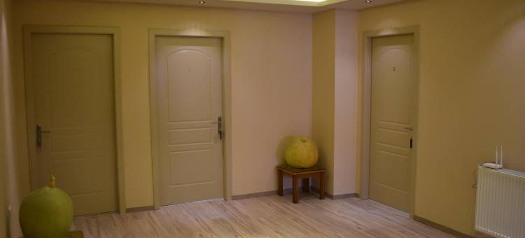 尼诺别墅酒店(Hotel Vila Nino)图片