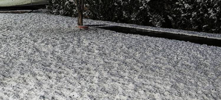 骑士酒店-布雷斯桥(Knights Inn Bracebridge)图片