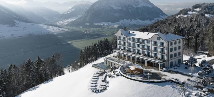 霍尼格别墅(Hotel Villa Honegg)图片