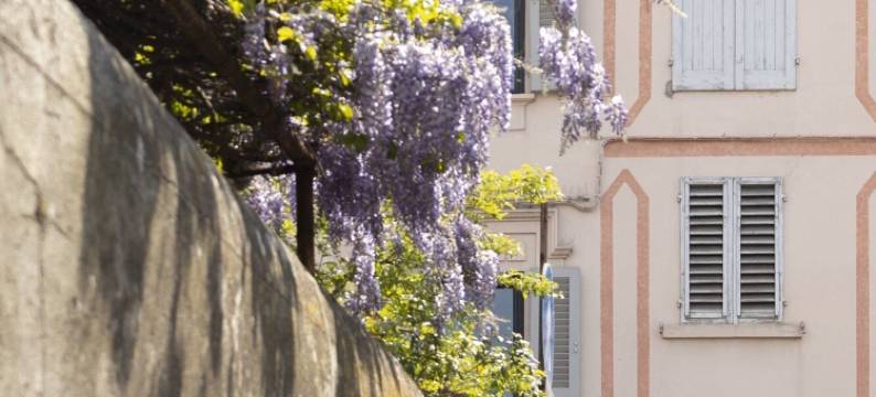 菲耶索乐卡内尔民宿(B&B le Cannelle Fiesole)图片