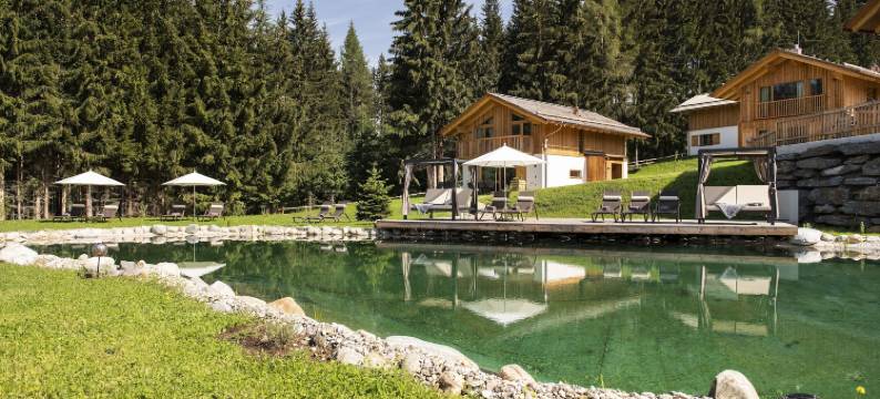 利尔普因特古特(Lerchpeuntgut Almchalets)图片