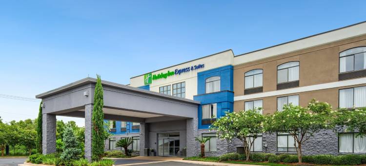 智选假日酒店-莫比尔I 65(Holiday Inn Express & Suites MOBILE – I-65 by IHG)图片