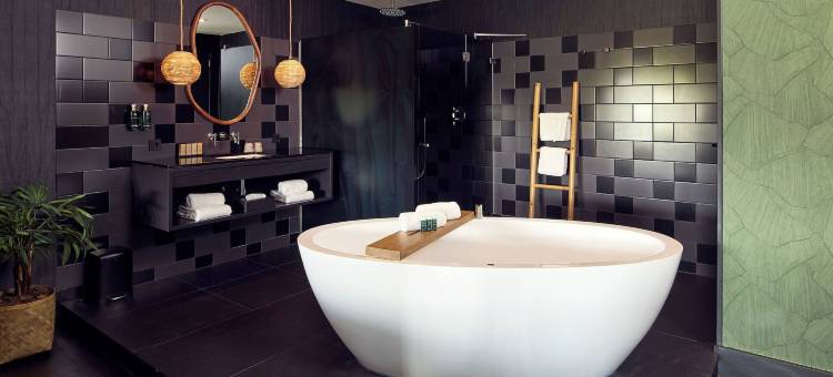 布勒克伦凡德瓦克酒店(Van der Valk Hotel Breukelen)图片