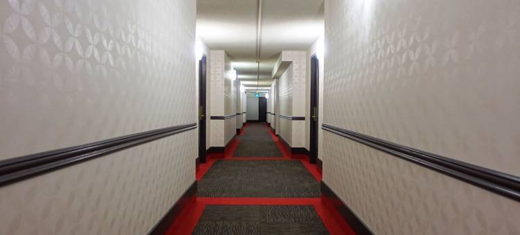 里贾纳市中心温德姆华美达广场酒店(Ramada Plaza by Wyndham Regina Downtown)图片