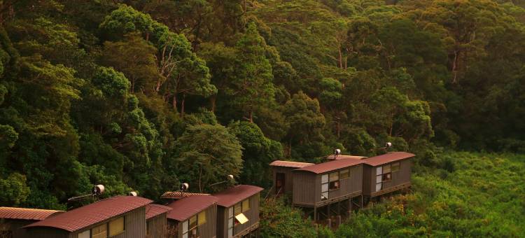 热带雨林生态度假旅馆(The Rainforest Ecolodge - Sinharaja with Shuttle Service from Car Park)图片