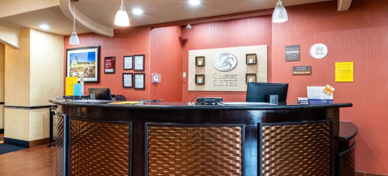 沃思湖舒适套房酒店(Comfort Suites Lake Worth)图片