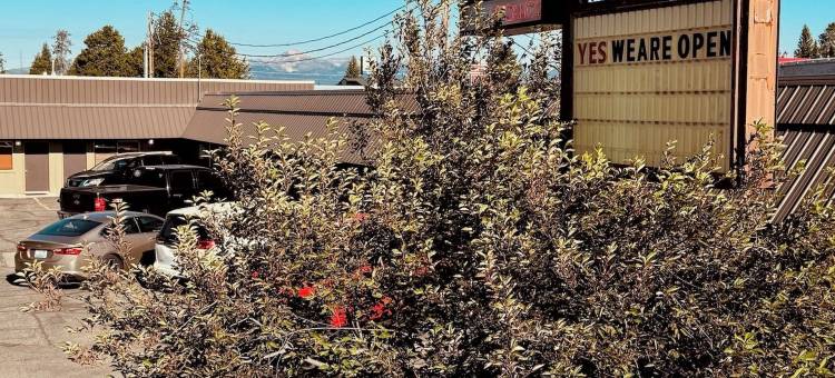 霍·哈姆汽车旅馆(Ho Hum Motel)图片