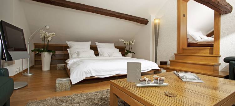 沙特维耶庄园(Domaine de Châteauvieux)图片