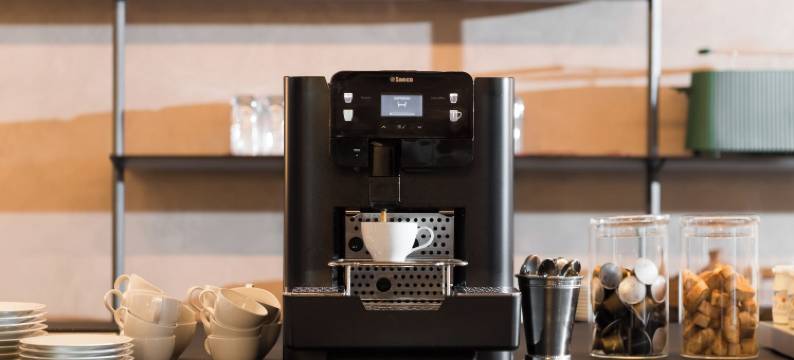 特雷维主人(master Trevi)图片