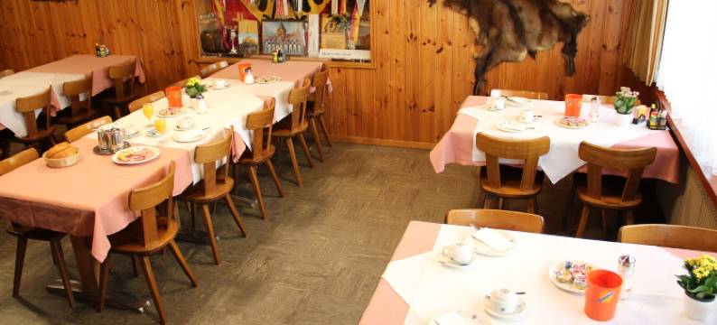 阿尔宾娜餐厅酒店(Hotel-Restaurant Alpina)图片