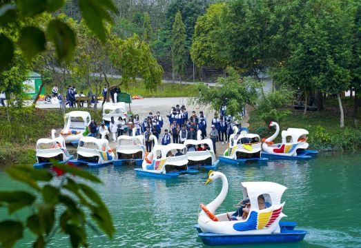 MEDDOM Park Hotel Overview