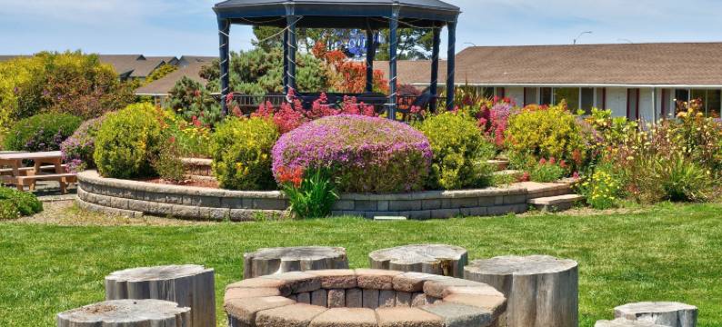 瑟夫花园汽车旅馆(Surf Motel and Gardens)图片