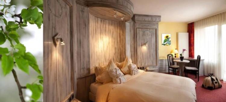 金狮酒店(Spa Hôtel Restaurant Au Lion d'Or)图片