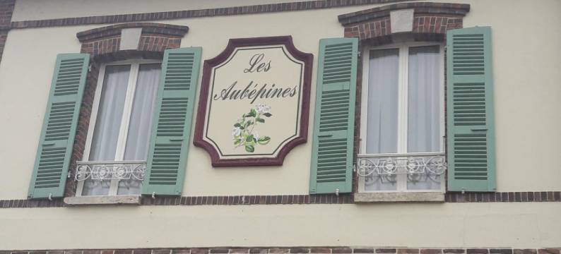 奥贝皮尼斯酒店(Hotel les Aubépines)图片