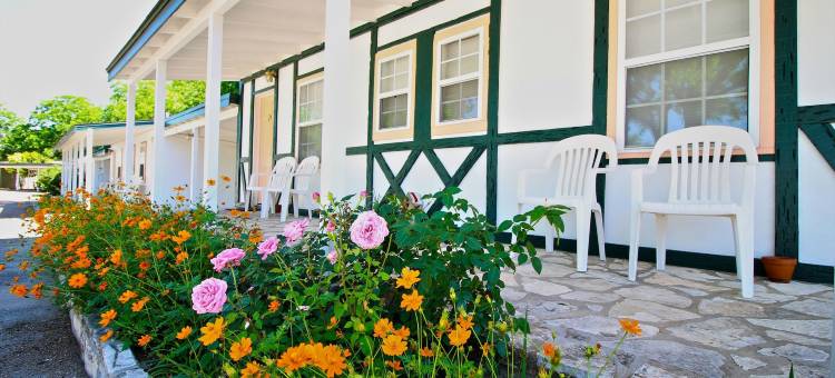 皮齐特瑞酒店(Peach Tree Inn & Suites)图片