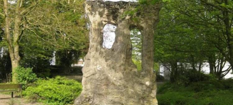 阿尔特-帕斯特酒店(Alte - Post - Hotel)图片