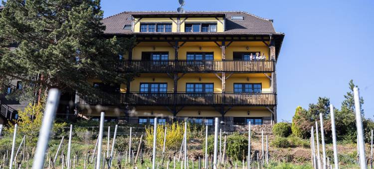 阿诺德酒店(Hôtel Arnold)图片