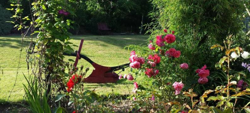 河畔原野民宿(Riverfield Bed and Breakfast)图片