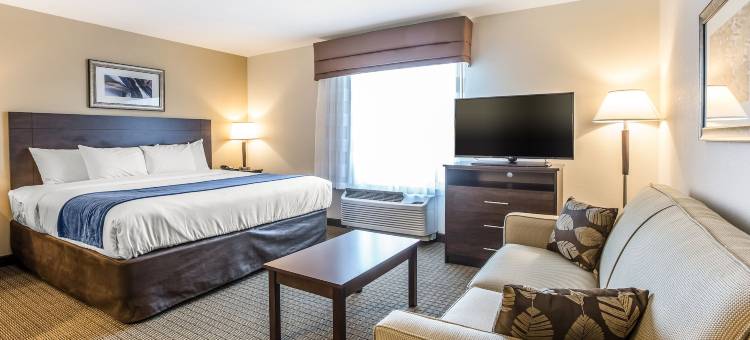 卡特尔斯维尔美茵斯坦套房酒店(MainStay Suites Cartersville)图片