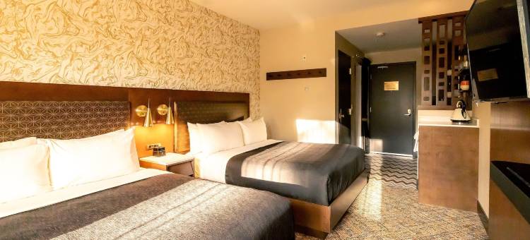 图芬诺泽德酒店(Hotel Zed Tofino)图片