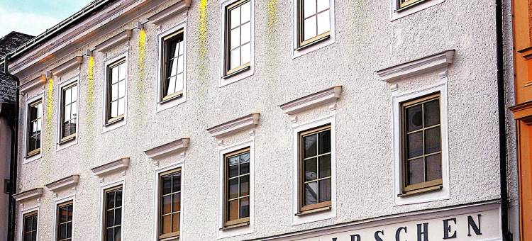 精品酒店金鹿(Boutiquehotel Zum Goldenen Hirschen)图片