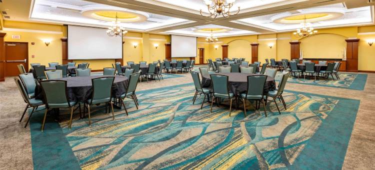 圣路易斯-切斯特菲尔德德鲁里广场酒店(Drury Plaza Hotel St. Louis Chesterfield)图片