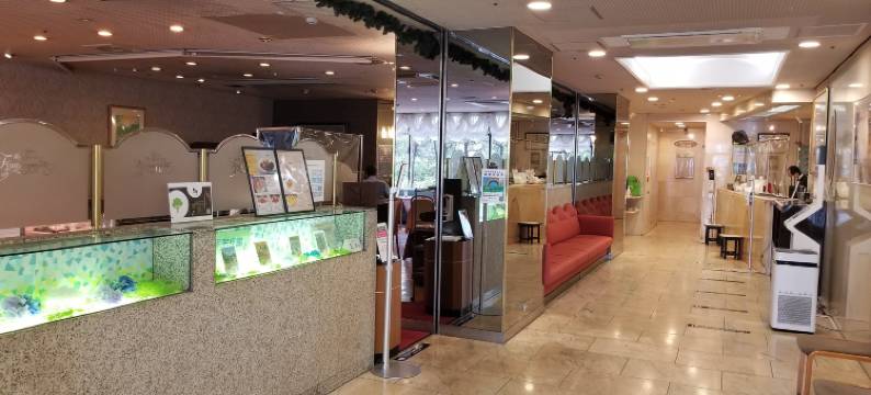 新宿利时达酒店(Hotel Listel Shinjuku)图片
