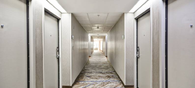 底特律-麦迪逊高地-南特洛伊欢朋酒店(Hampton Inn Detroit/Madison Heights/South Troy Area)图片