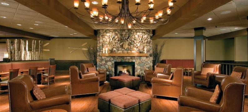 芝加哥希尔顿逸林酒店-阿灵顿高地(DoubleTree by Hilton Hotel Chicago - Arlington Heights)图片