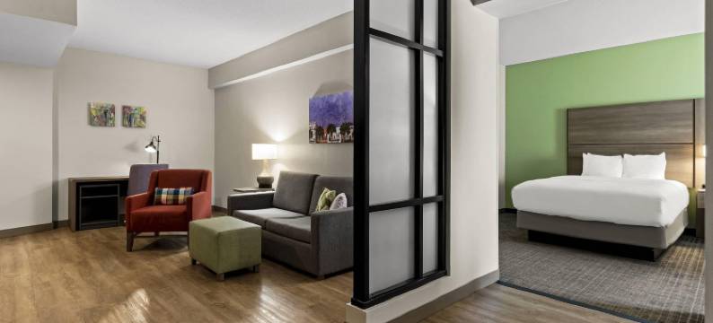 查尔斯顿西阿什利舒适套房酒店(Comfort Suites Charleston West Ashley)图片