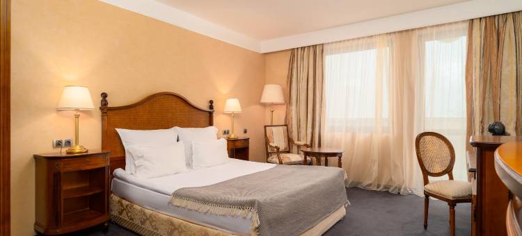费斯塔冬宫酒店(Festa Winter Palace Hotel)图片
