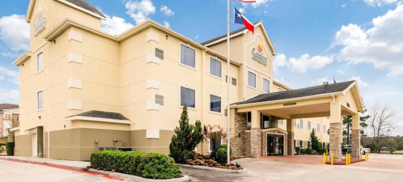 IAH布什机场-东舒适套房酒店(Comfort Inn & Suites IAH Bush Airport - East)图片