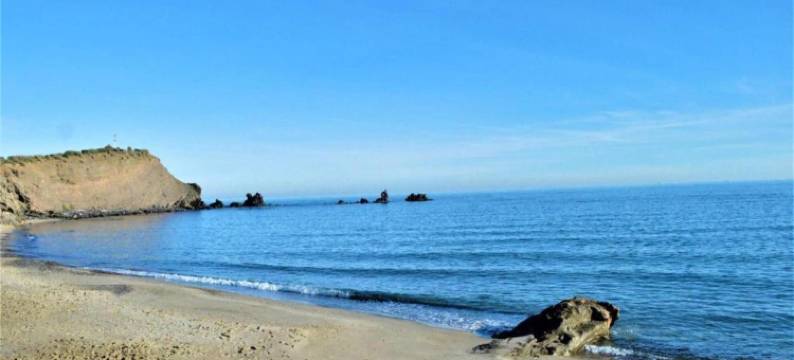 Bright Retreat by the Beach图片