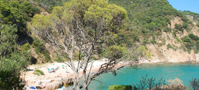 Holiday Home in Sant Feliu near Beach图片