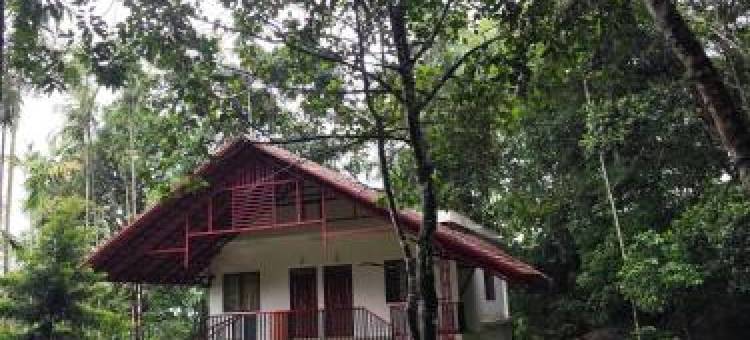 埃达卡尔乡村度假村(Edakkal Village Resort - A Premium Boutique Lodging, Wayanad)图片