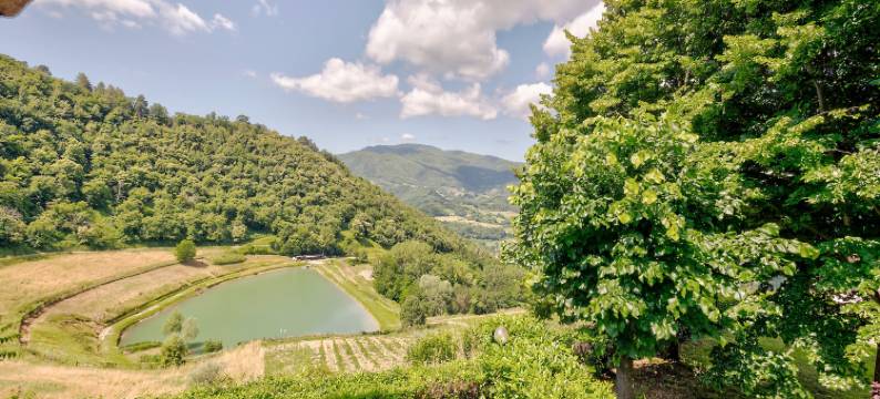 Appealing Home with pool图片