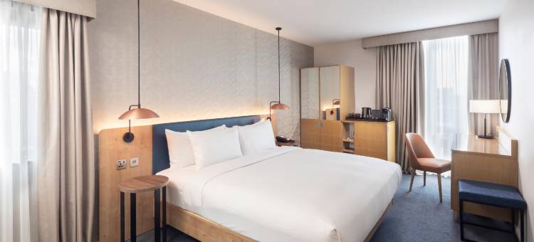 伯明翰布林德里希尔顿花园酒店(Hilton Garden Inn Birmingham Brindleyplace)图片