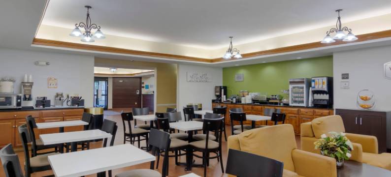 舒眠酒店及套房 - 近乔治王子堡李(Sleep Inn & Suites Prince George Near Fort Lee)图片