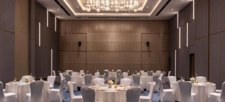 利雅得沙哈法诺富特酒店(Novotel Riyadh Sahafa)图片