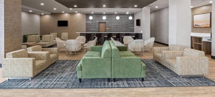 拉昆塔温德姆酒店及套房凤凰城西/格兰岱尔(La Quinta Inn & Suites by Wyndham Phoenix West / Glendale)图片