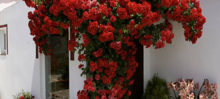 Villa in Spain with Private Pool图片